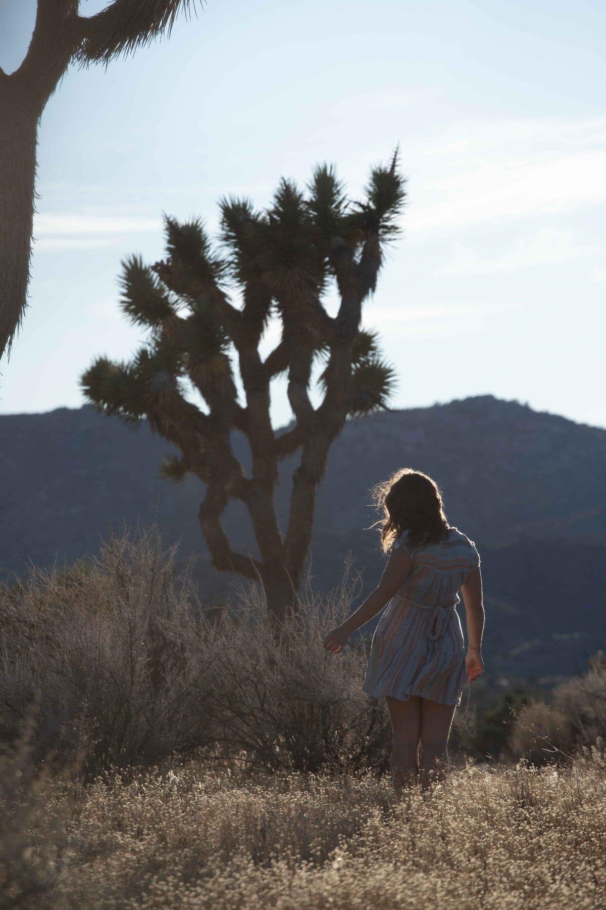 Why You Should Use A Lens Hood In Your Photography