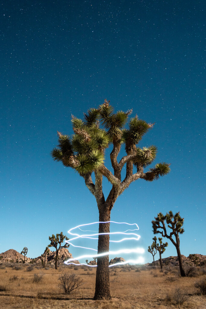 The Best Camera Settings For Low Light Photography Brendan Williams