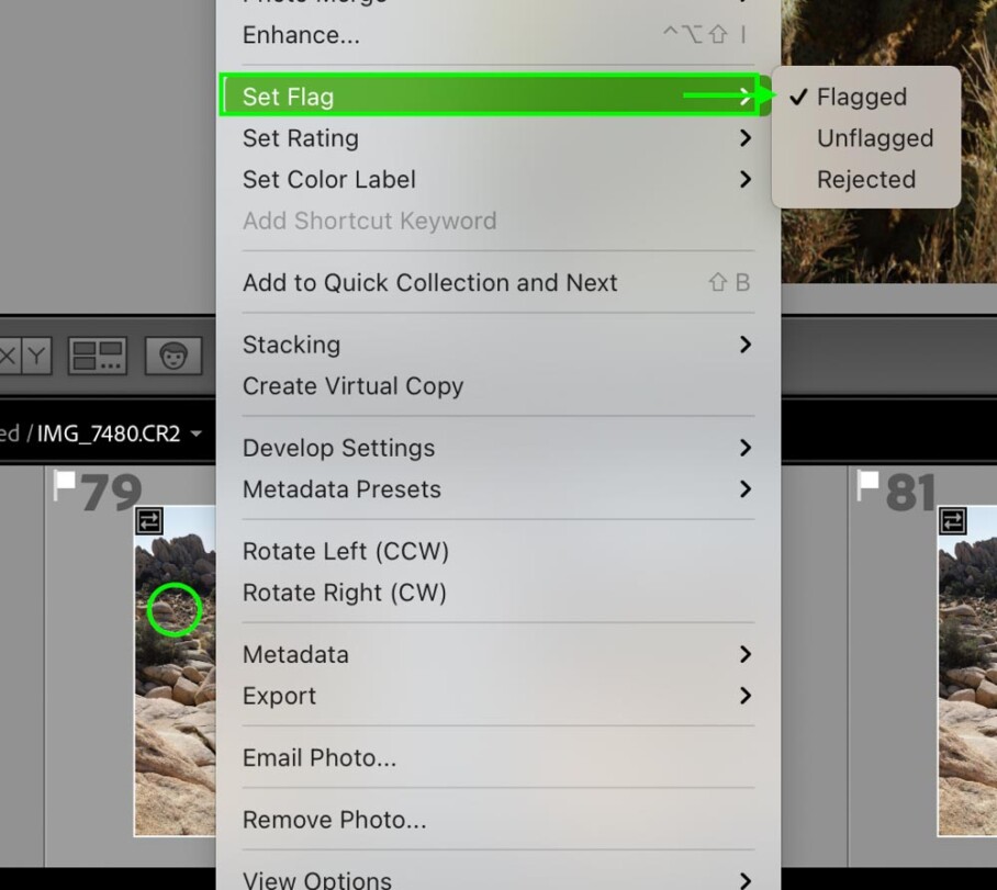 Flagging Photos In Lightroom Everything You Should Know Brendan