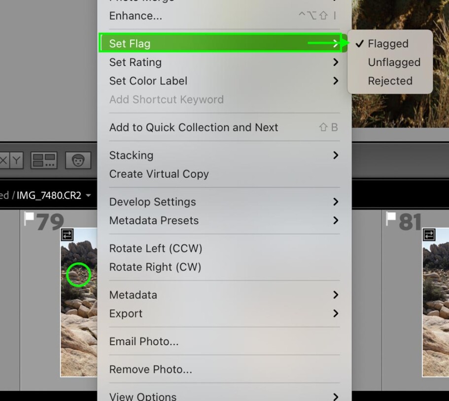 Flagging Photos In Lightroom Everything You Should Know Brendan