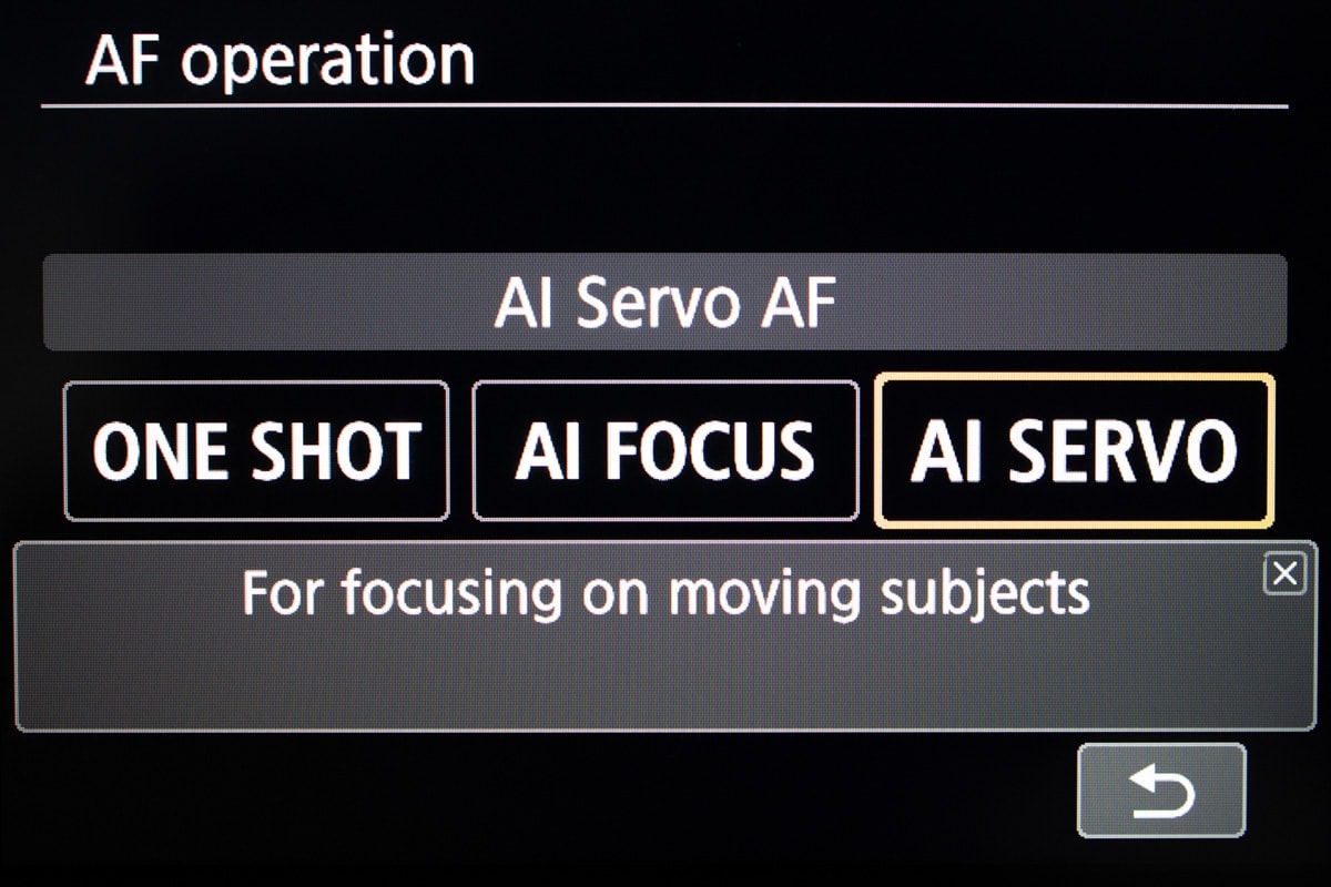 My Camera Won't Focus Here's What To Do Brendan Williams Creative